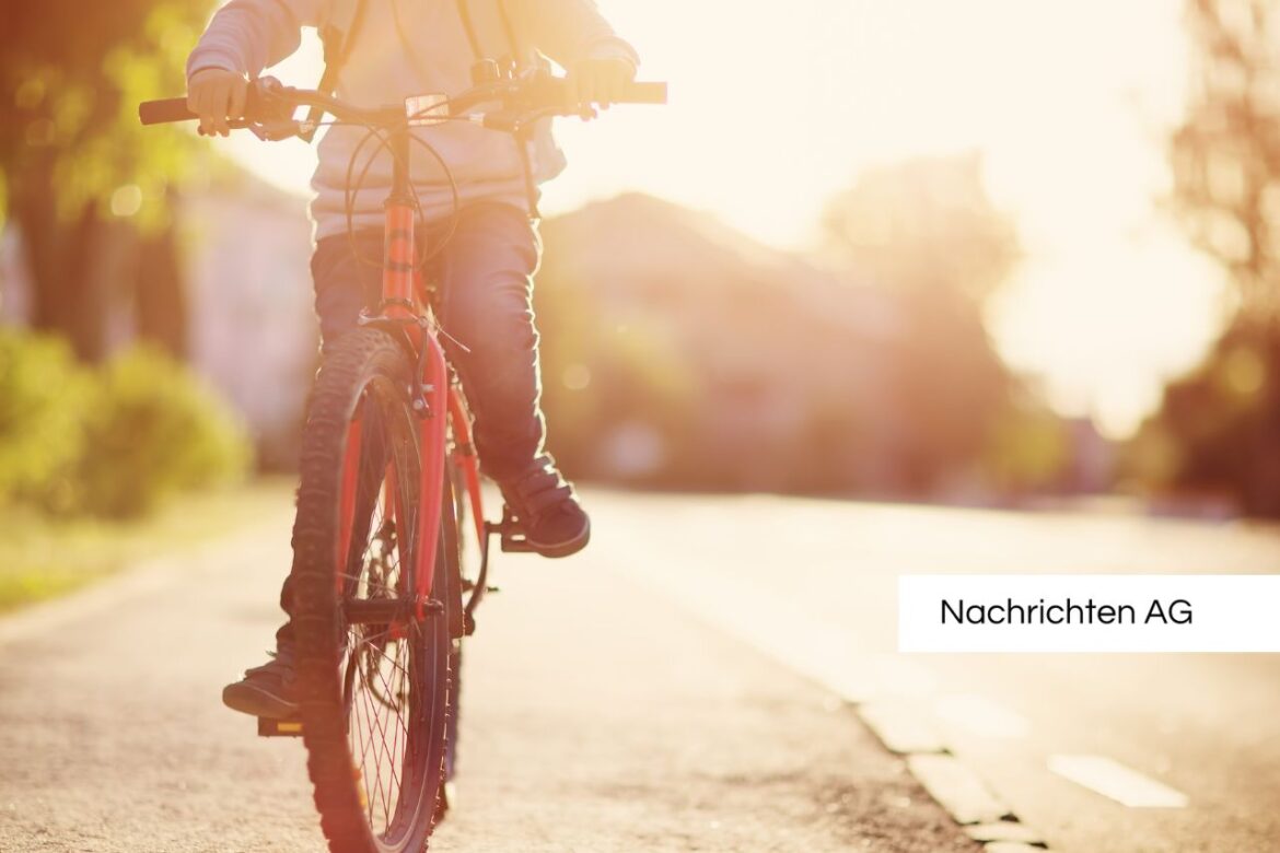 Massive Polizeirazzia in Berlin: Fünf Festnahmen bei Fahrraddiebstahl!